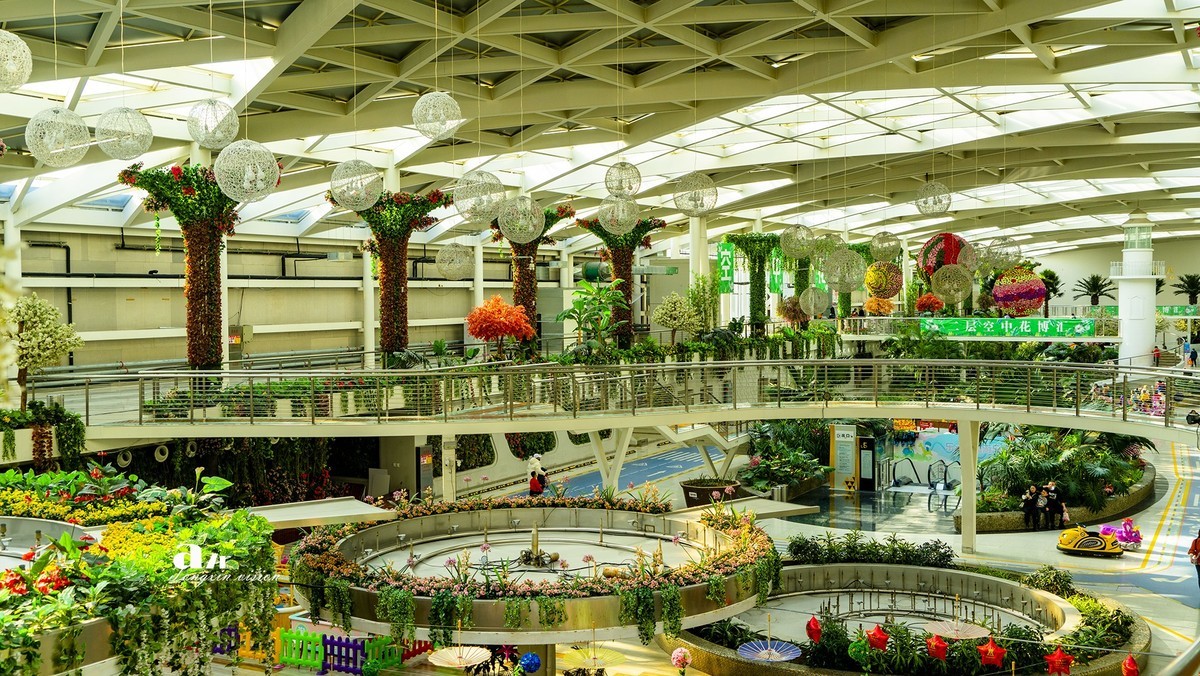 大连中央大道的空中花园（3）