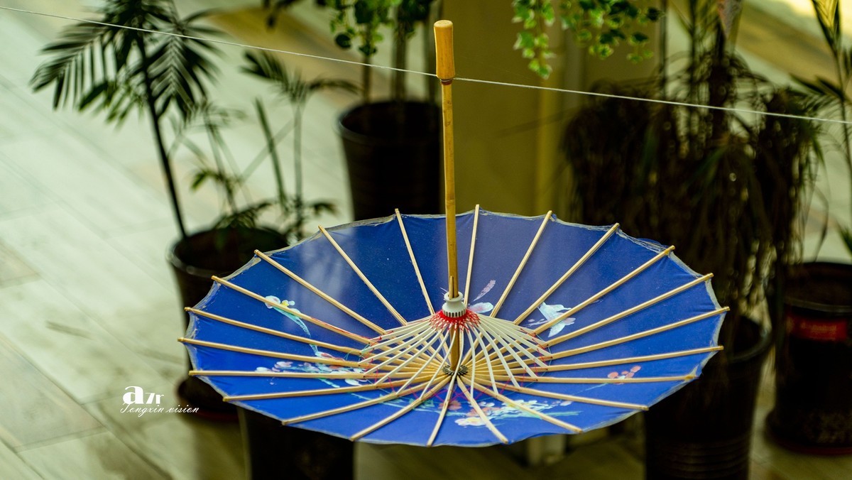 大连中央大道的空中花园（3）