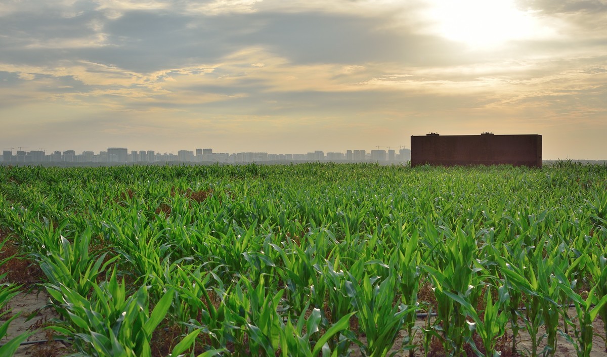 江北水城-望岳湖