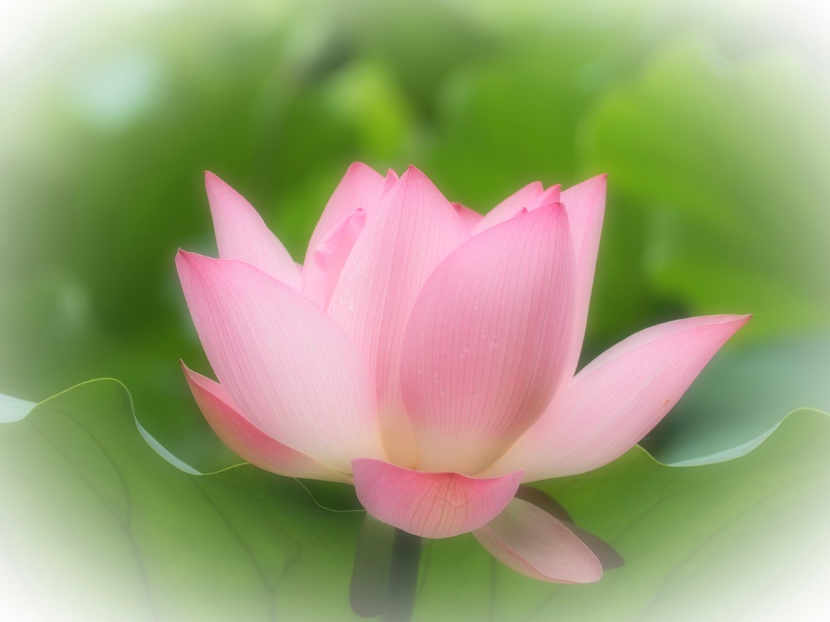 相机自带滤镜效果