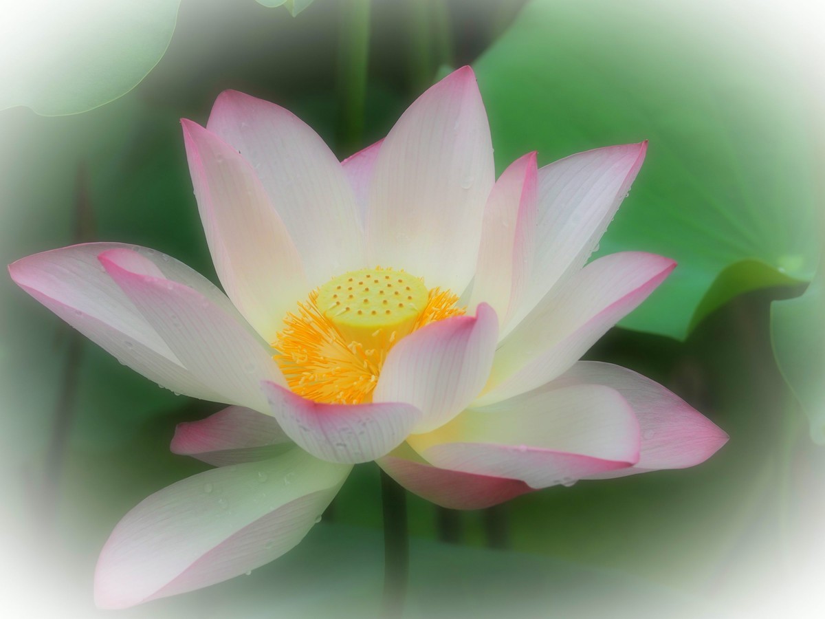 相机自带滤镜效果