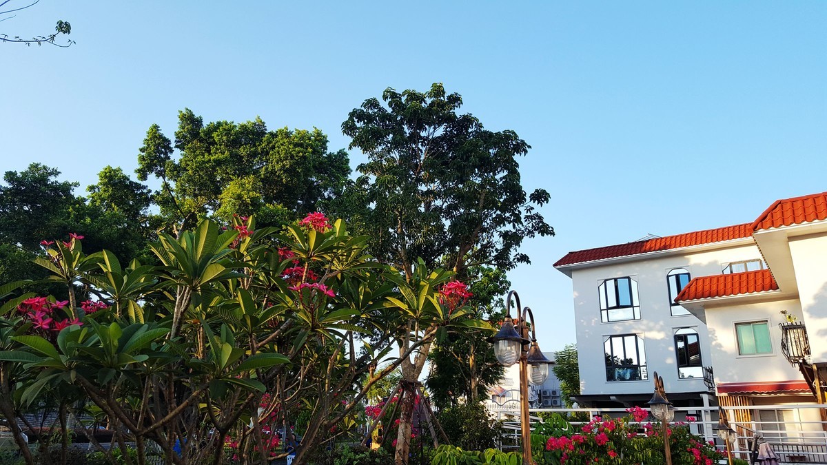 记忆中美丽的厦门手机随拍（那时候的遥遥领先最多跟星空体育平台打个平手）