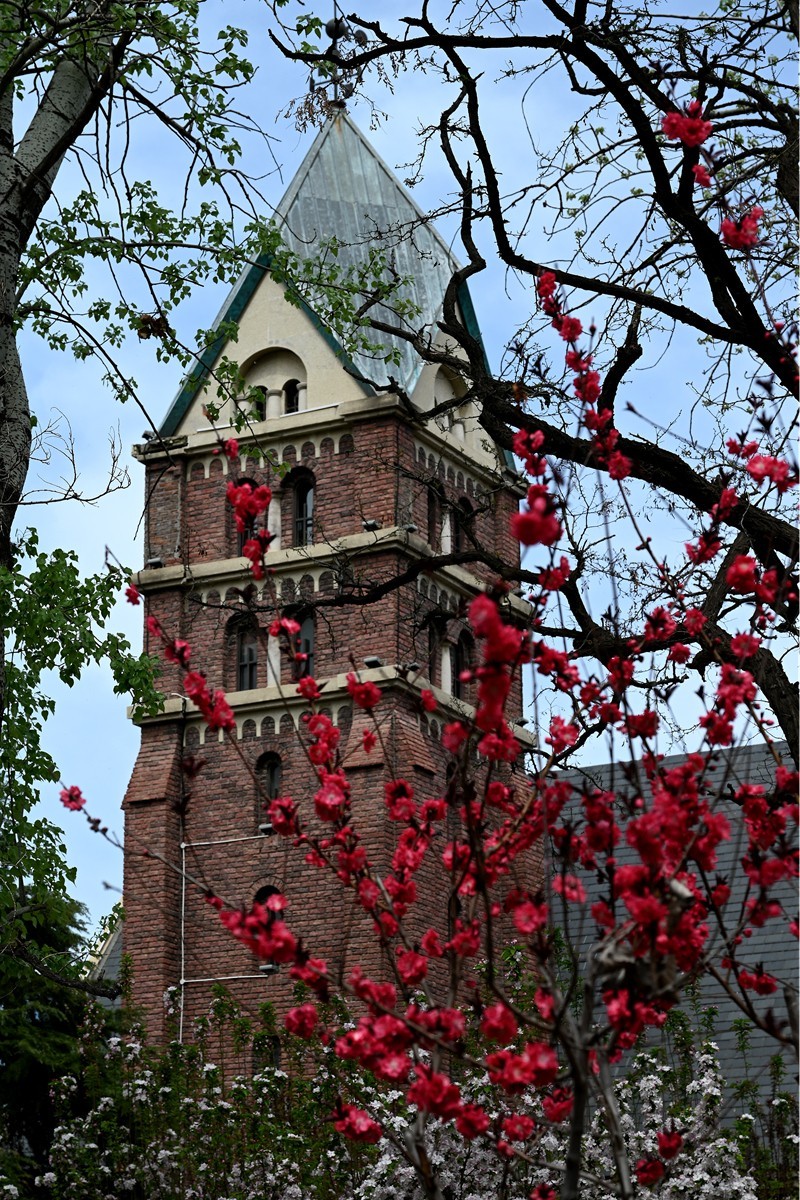 海棠时节的教堂---------------向家乡的朋友们问好