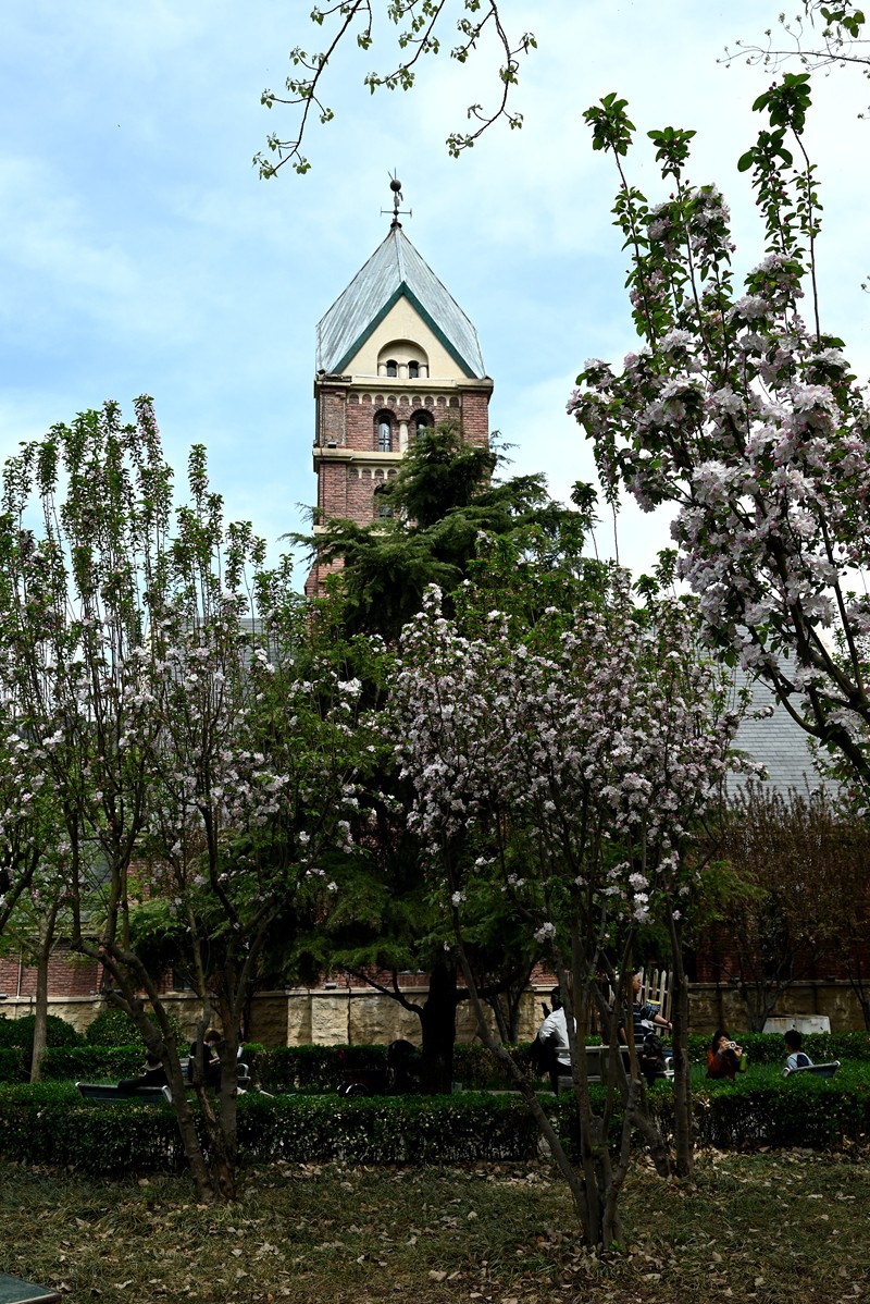海棠时节的教堂---------------向家乡的朋友们问好