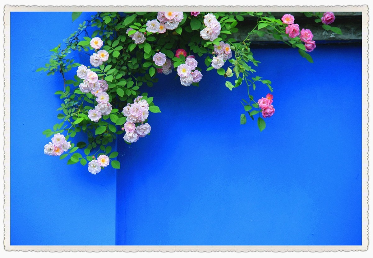 缺少主角的片片