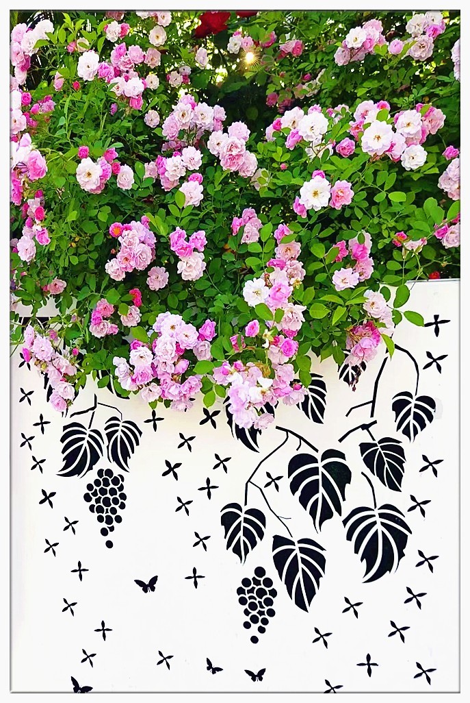 缺少主角的片片