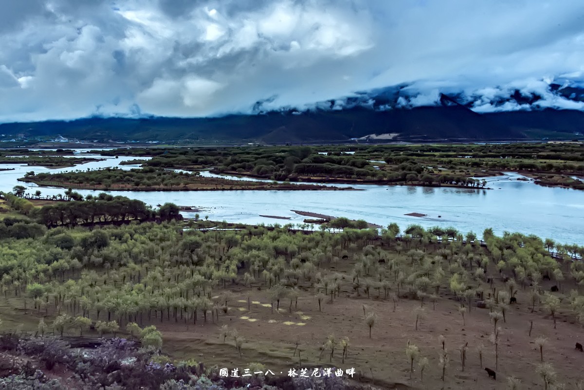 国道三一八 · 林芝尼洋曲畔