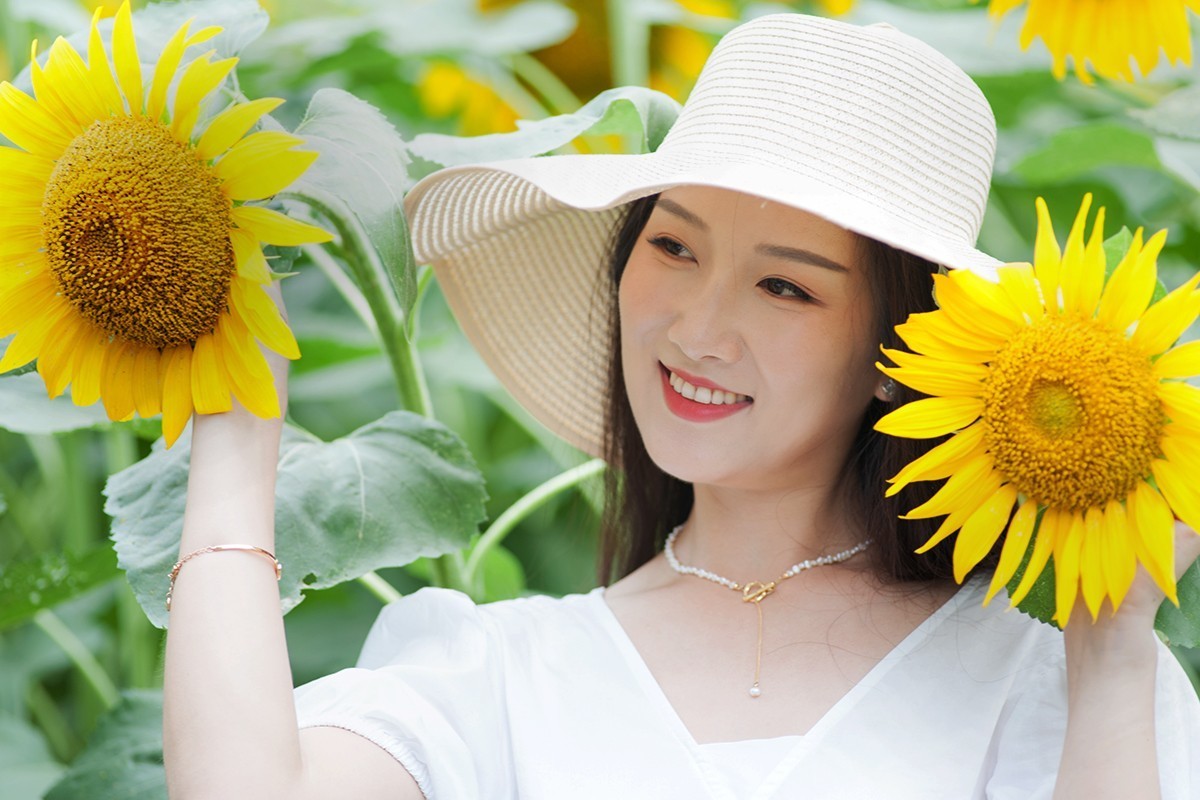 葵花园中的人像作业