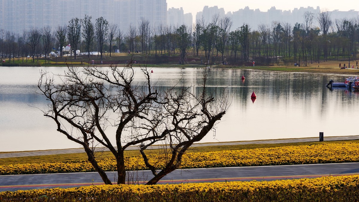 成都东安湖体育公园【6】