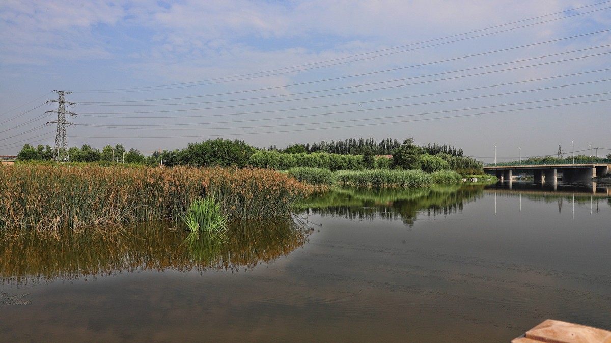 中山西路三环湿地