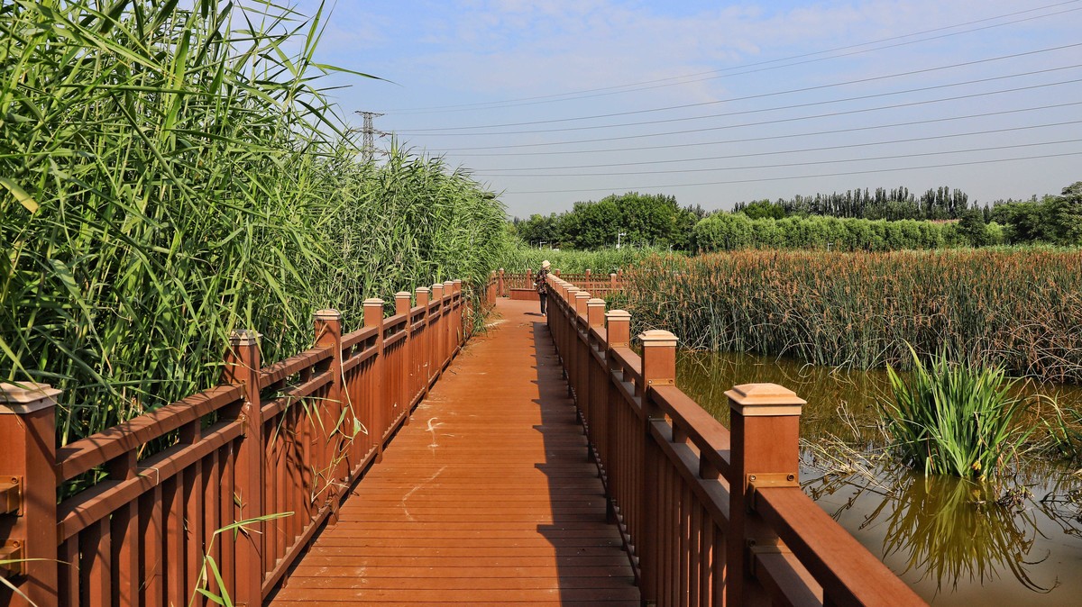 中山西路三环湿地