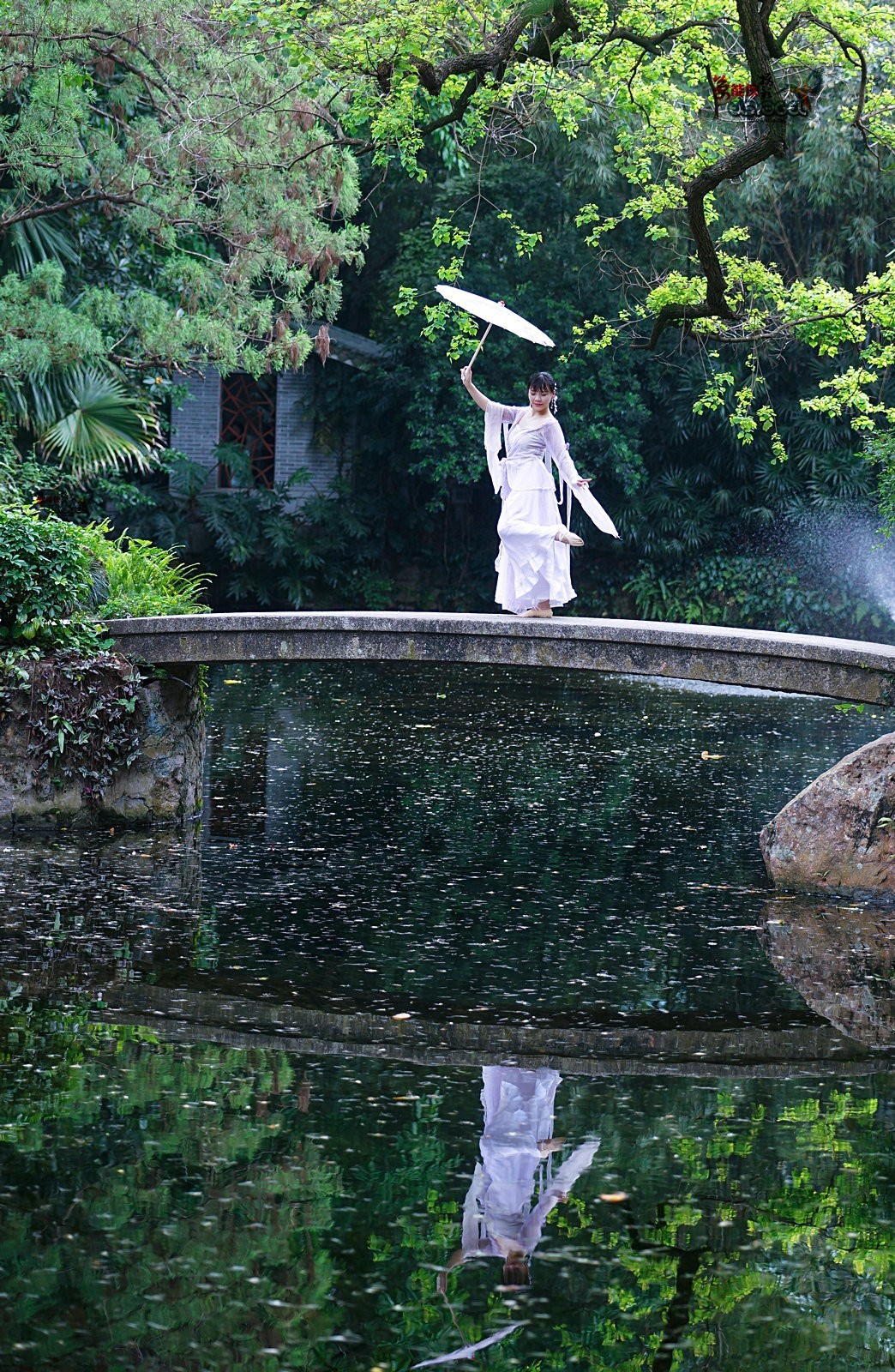 【蓝桥遗梦】---佳佳