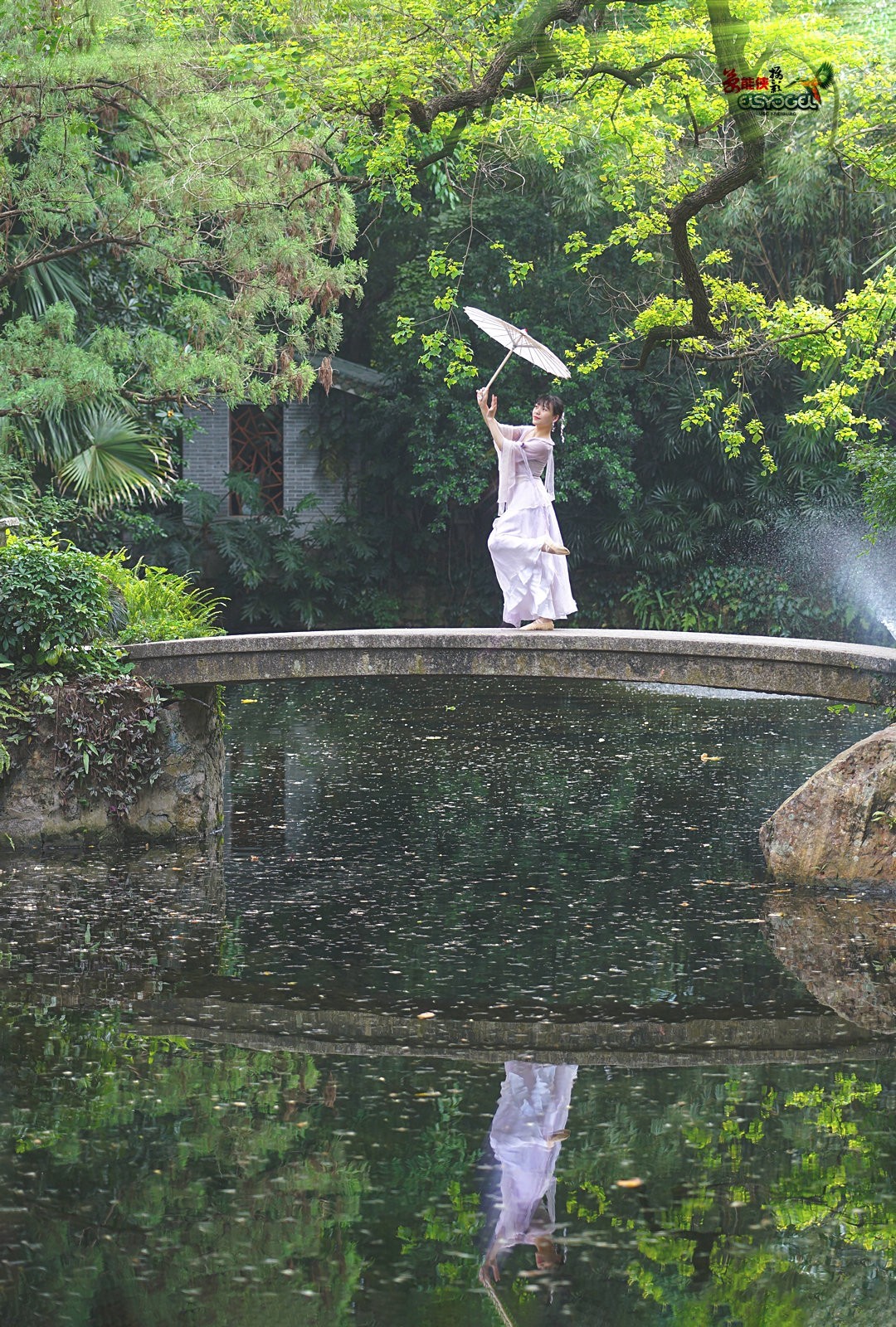 【蓝桥遗梦】---佳佳