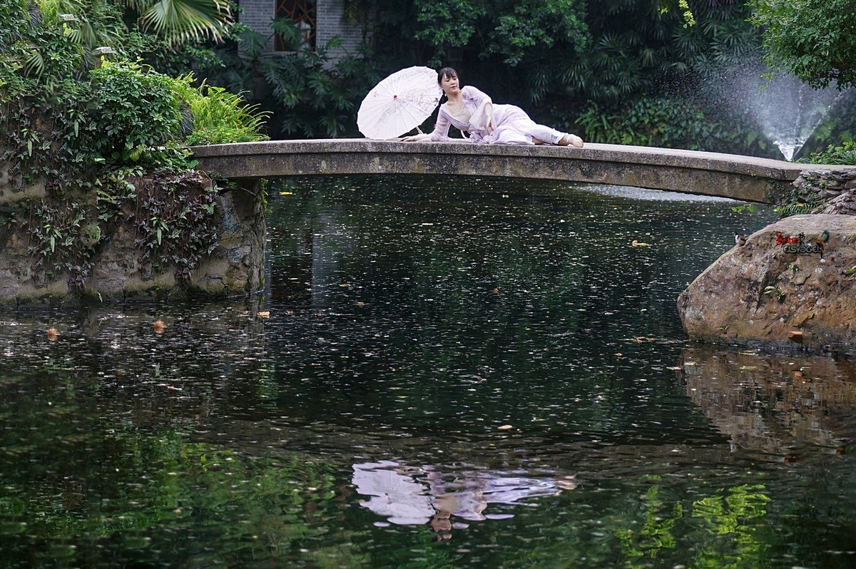 【蓝桥遗梦】---佳佳