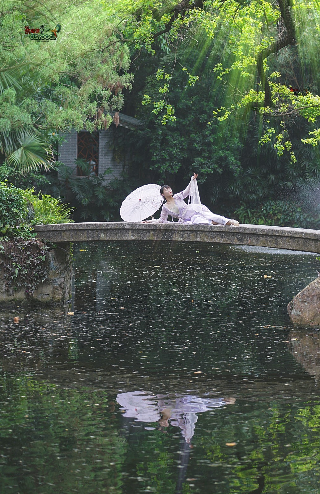 【蓝桥遗梦】---佳佳