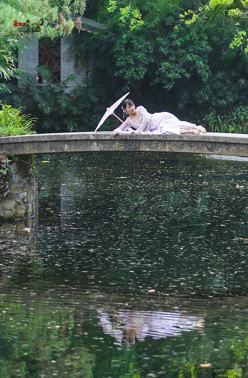 【蓝桥遗梦】---佳佳