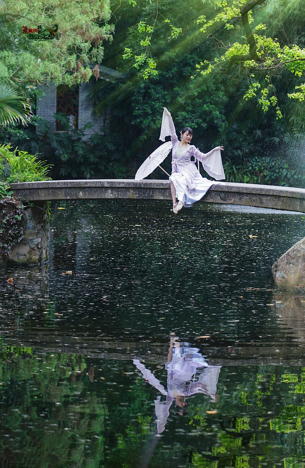 【蓝桥遗梦】---佳佳