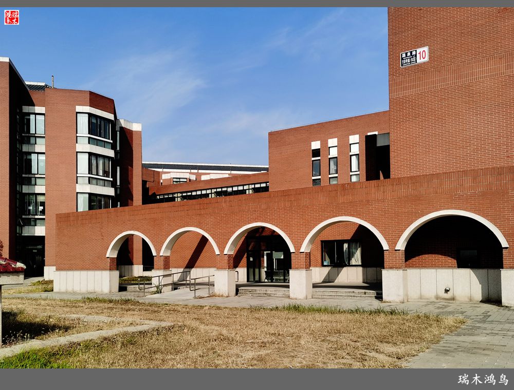 【手机随拍】悄悄地讲述病房里的故事