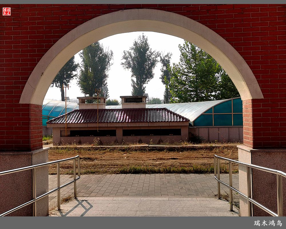 【手机随拍】悄悄地讲述病房里的故事