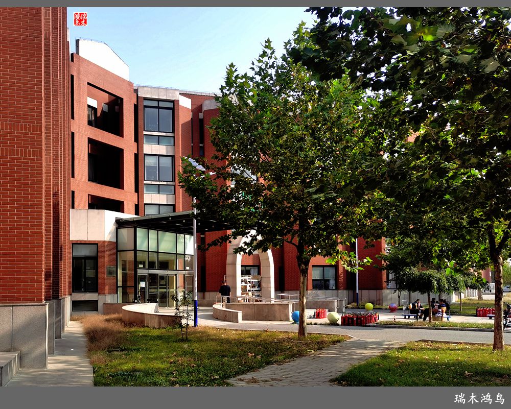 【手机随拍】悄悄地讲述病房里的故事