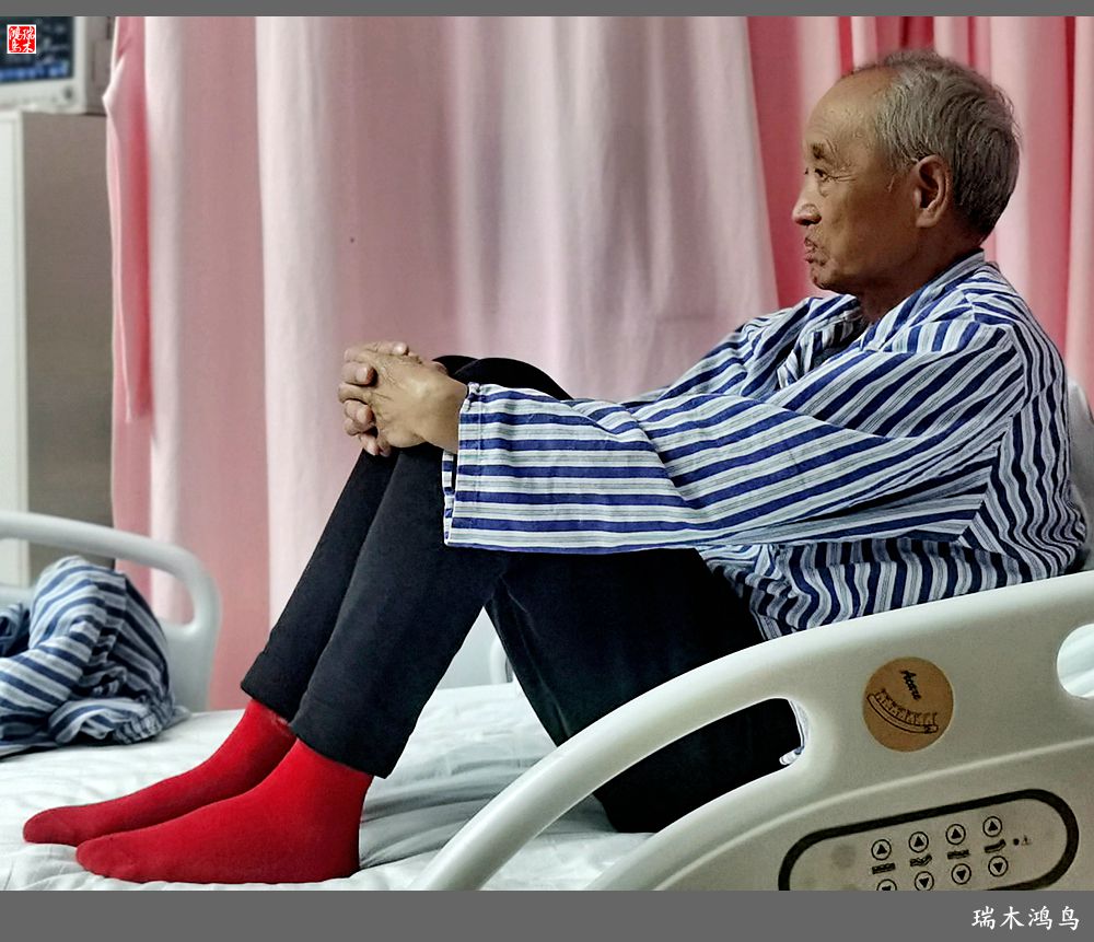 【手机随拍】悄悄地讲述病房里的故事