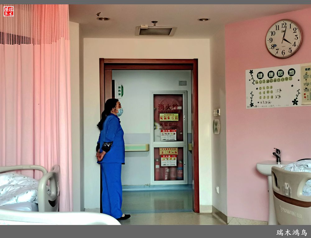 【手机随拍】悄悄地讲述病房里的故事