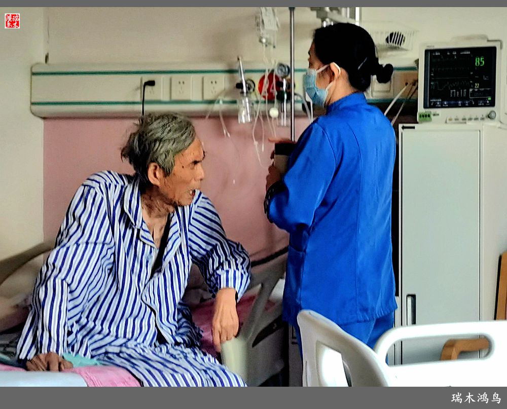 【手机随拍】悄悄地讲述病房里的故事