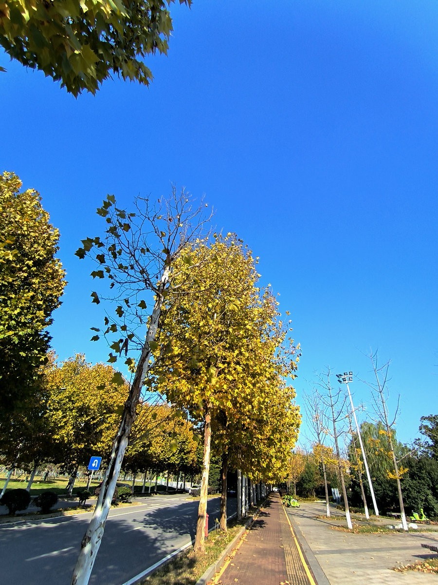 漫步星城 走街串巷（584）冬日里的温暖