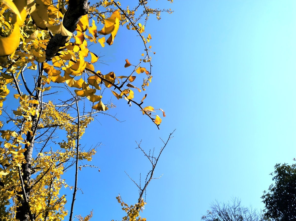 漫步星城 走街串巷（584）冬日里的温暖