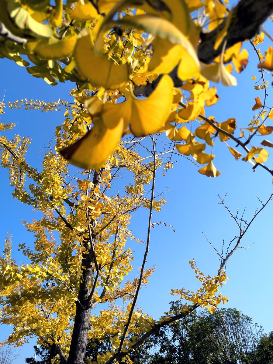 漫步星城 走街串巷（584）冬日里的温暖