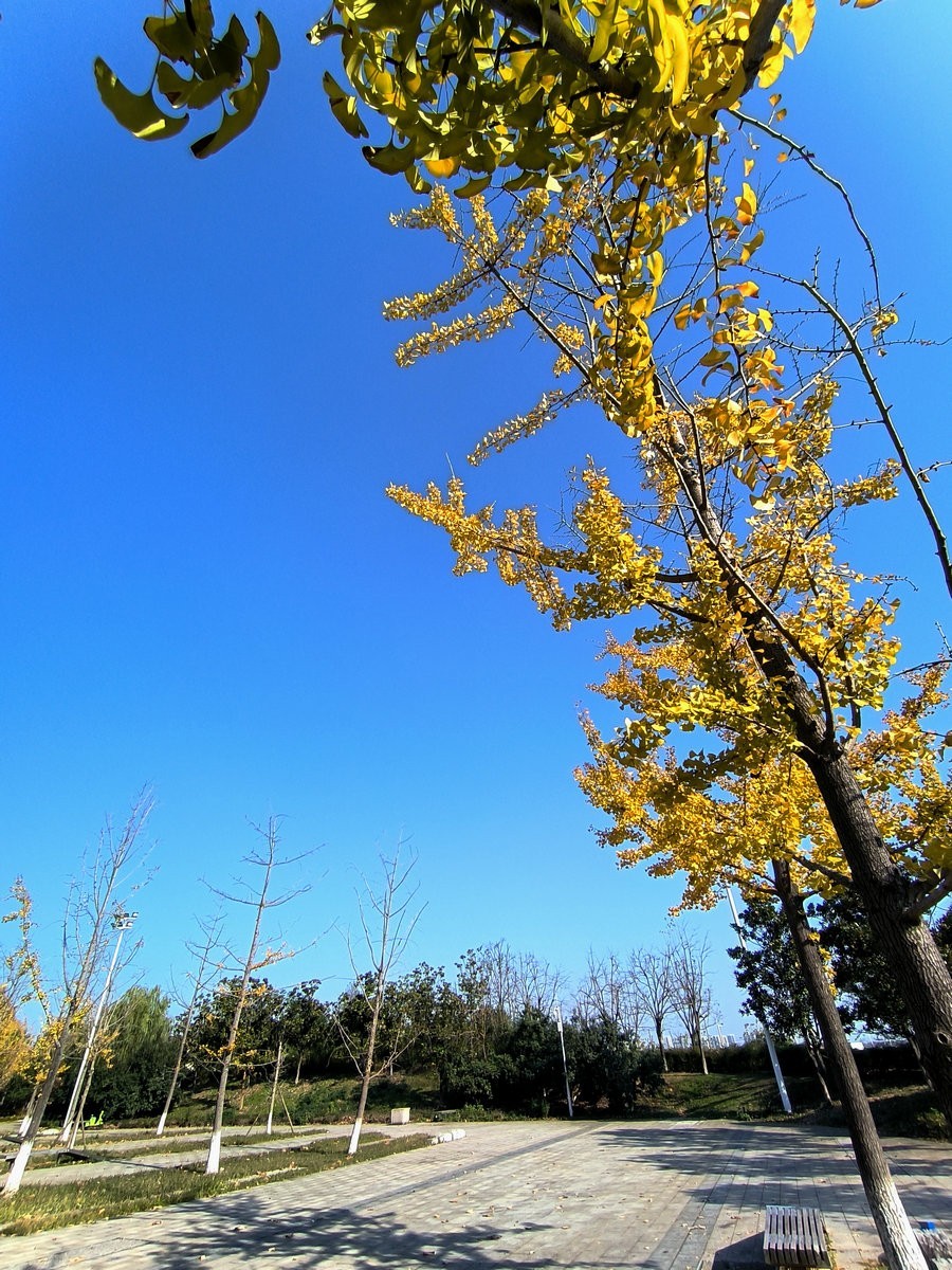 漫步星城 走街串巷（584）冬日里的温暖