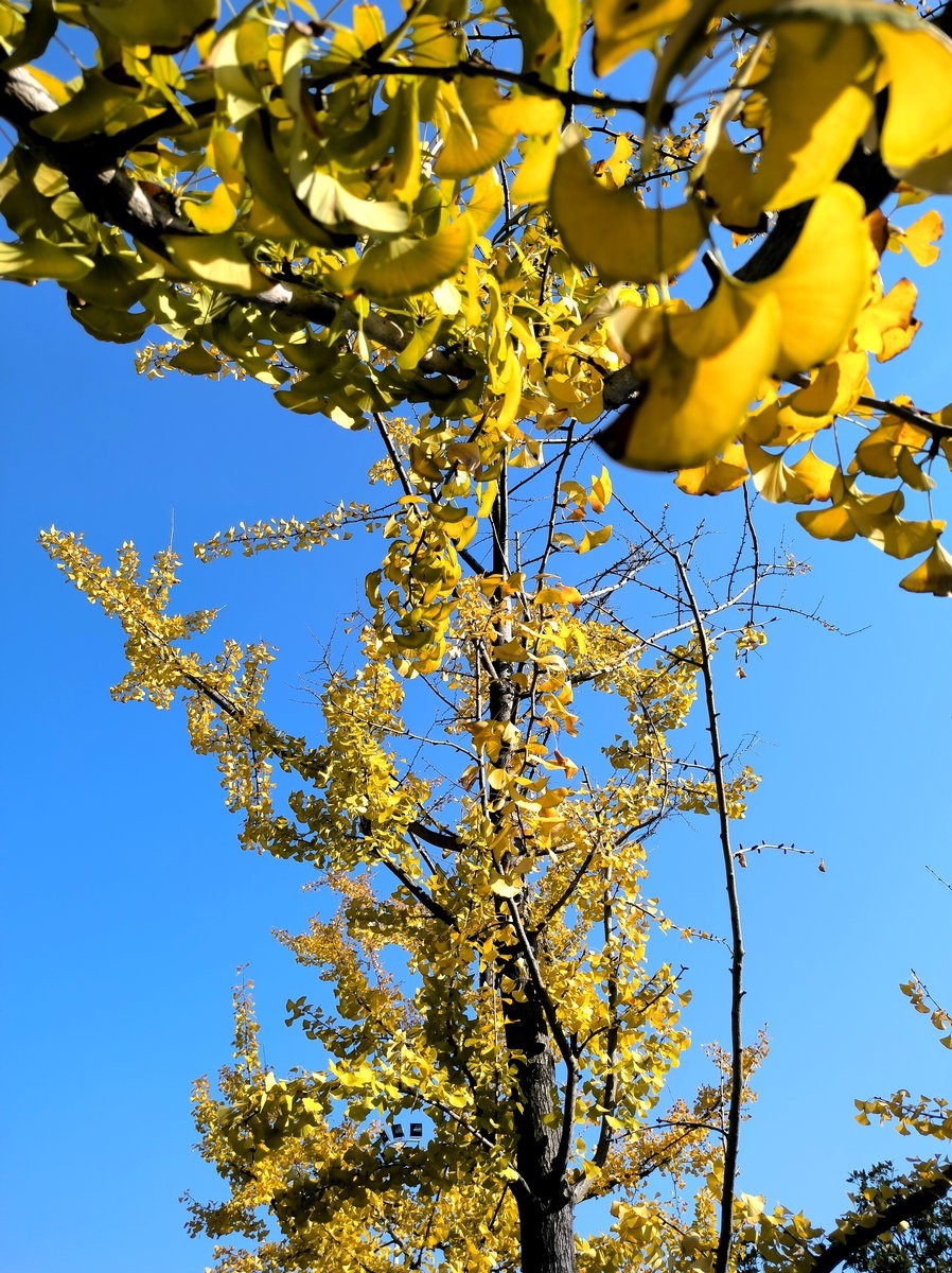 漫步星城 走街串巷（584）冬日里的温暖