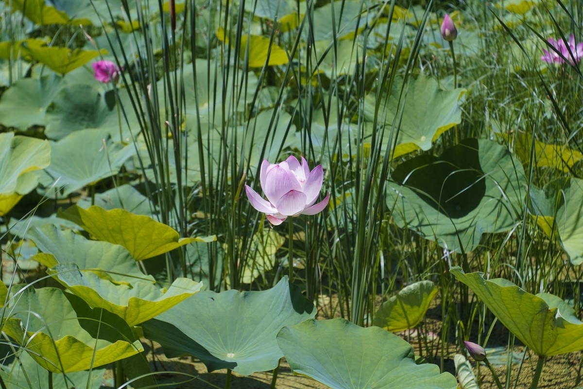 前几年拍的杂图