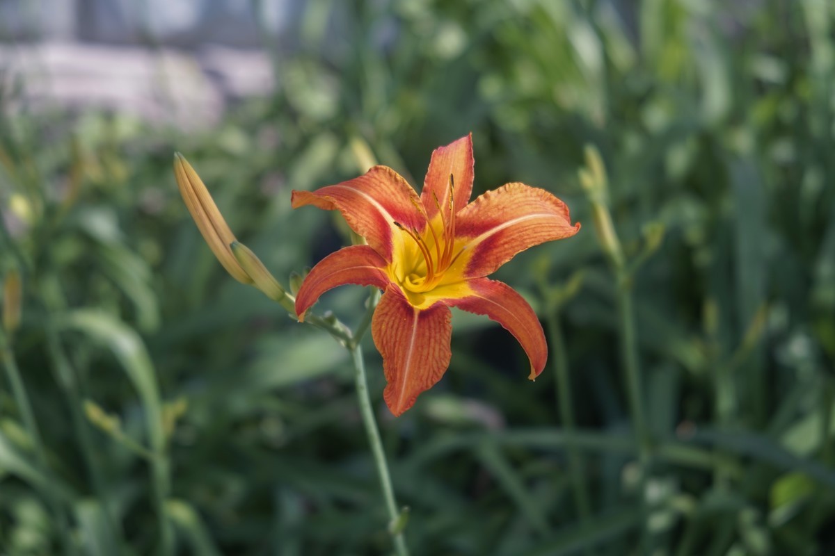 前几年拍的杂图