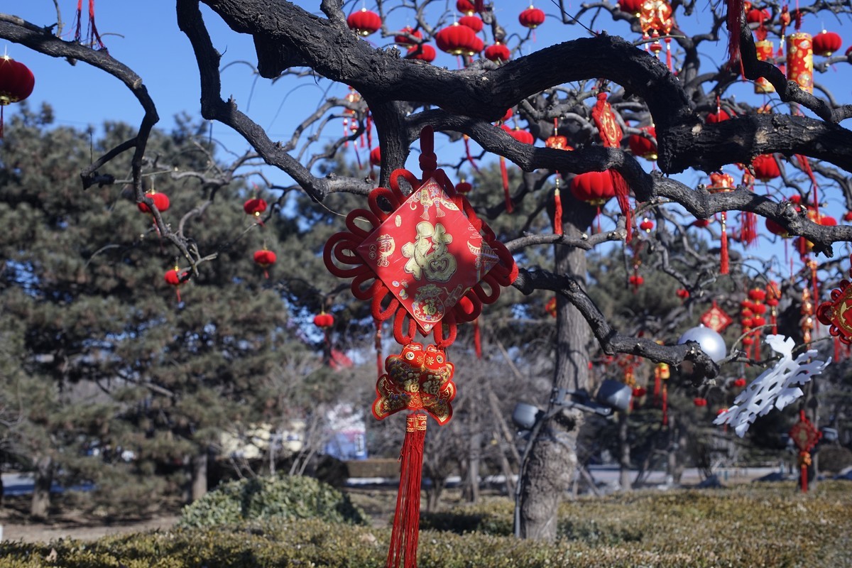 前几年拍的杂图