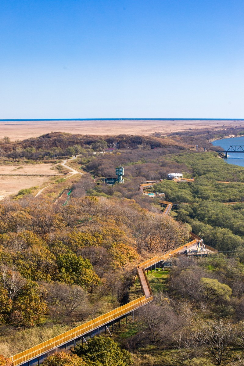 外出随拍（续308）.