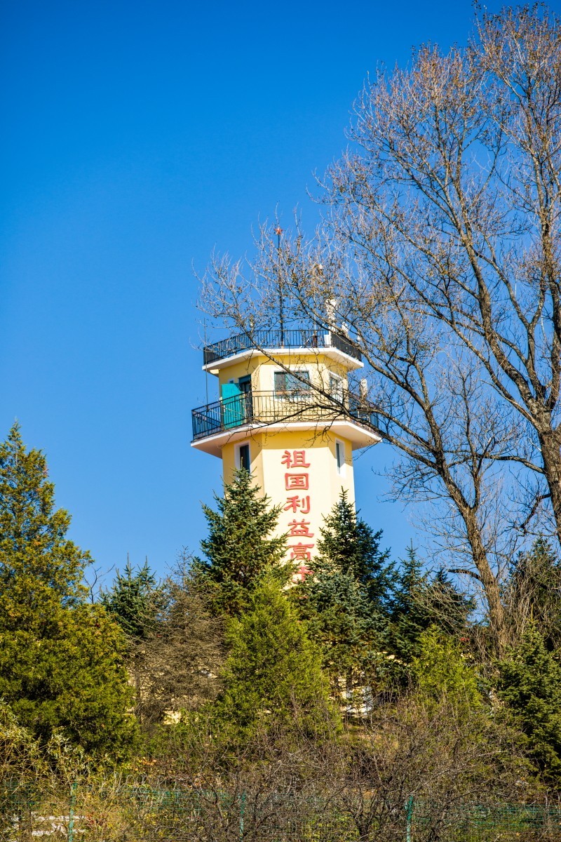 外出随拍（续308）.