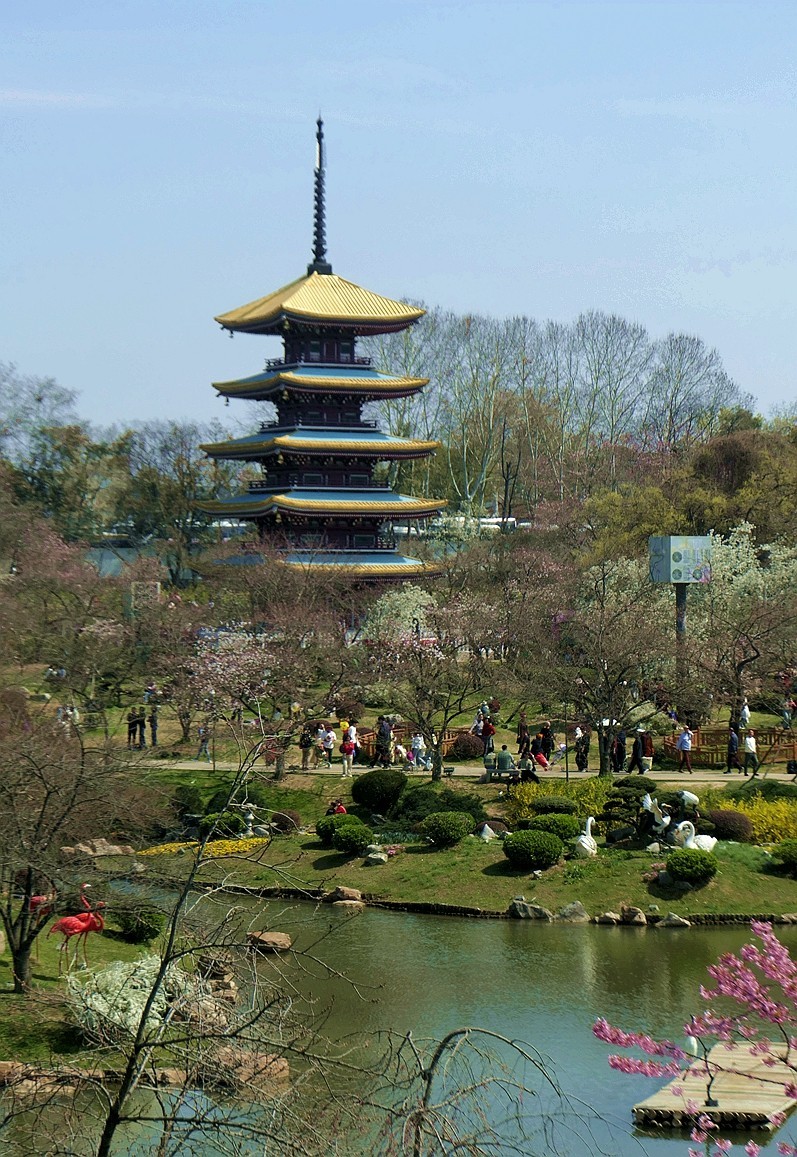 东湖樱花园五