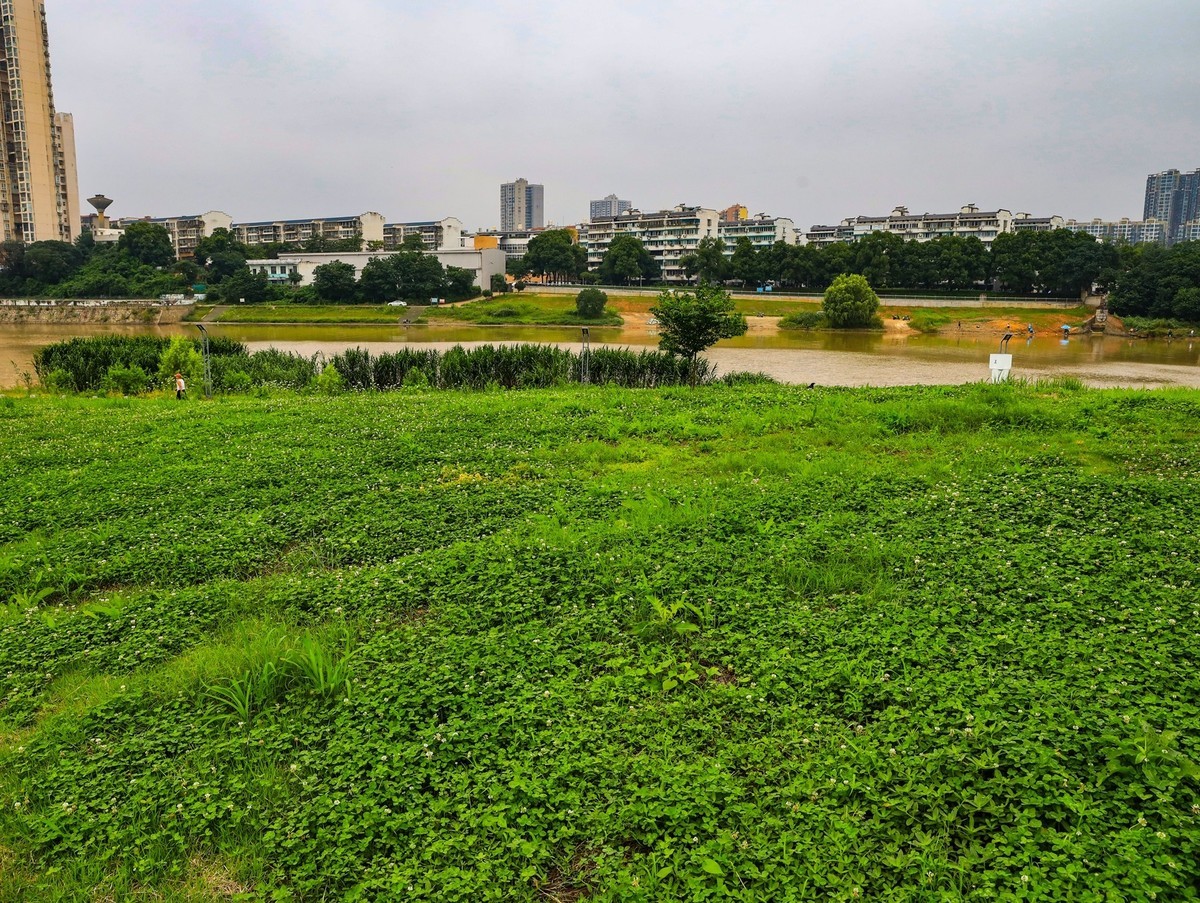 长沙鸭嘴公园--1