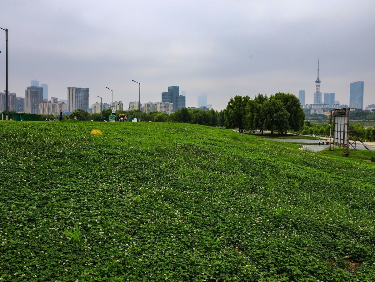 长沙鸭嘴公园--1