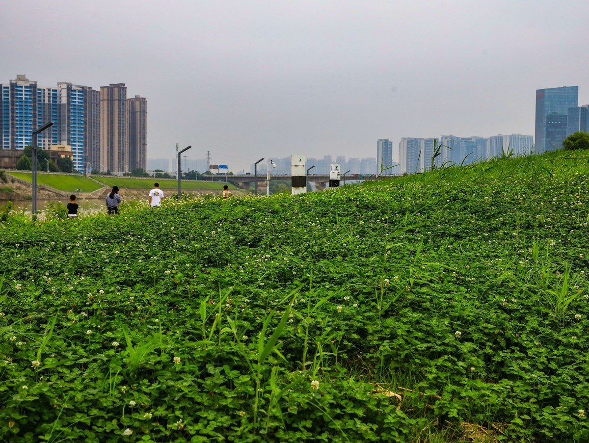 长沙鸭嘴公园--1