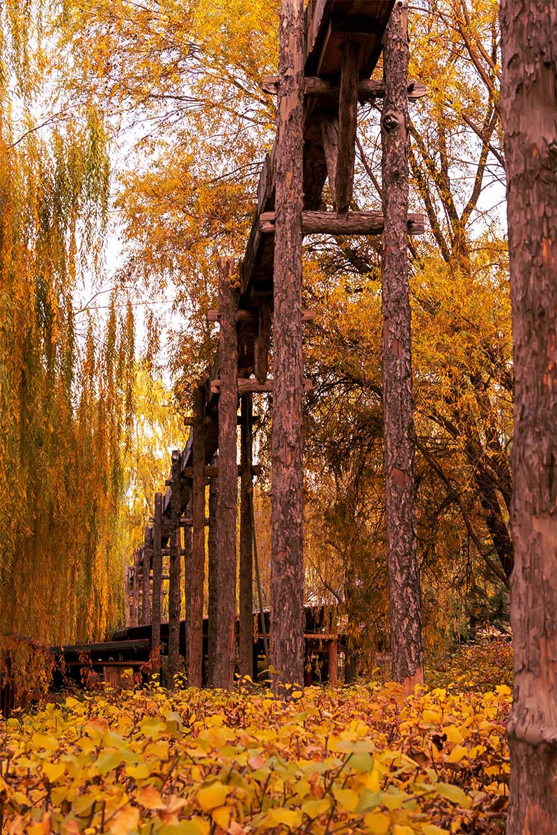 随                                 拍