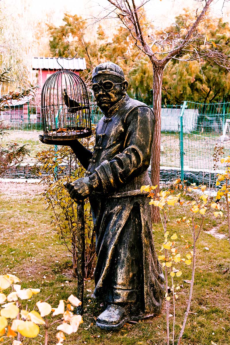 随                                 拍