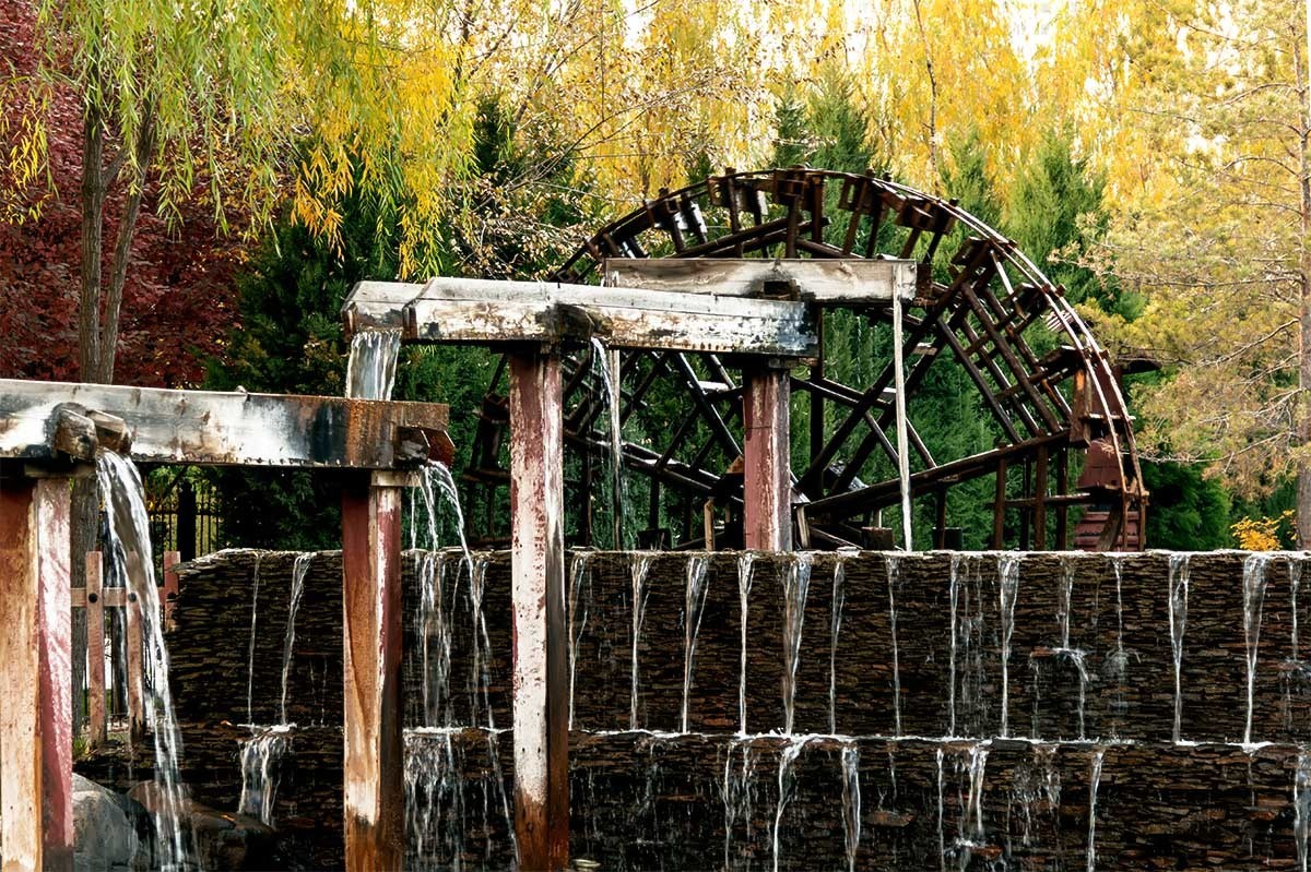 随                                 拍