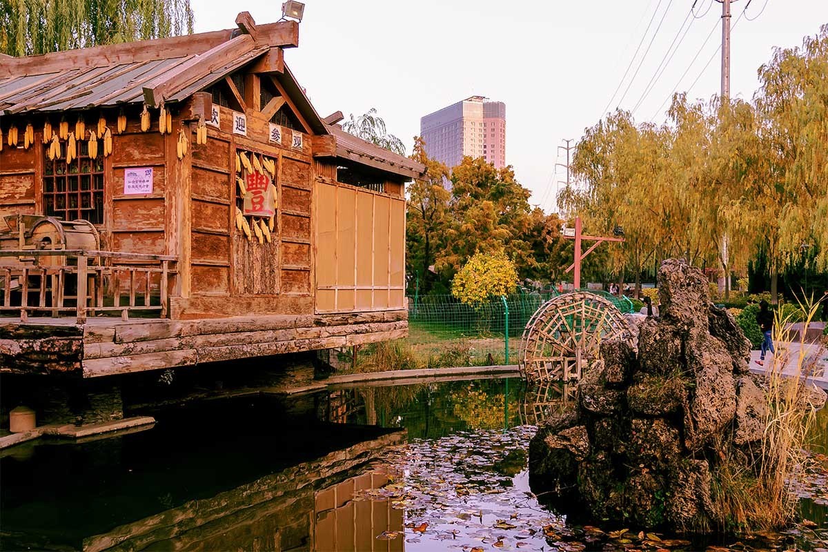 随                                 拍