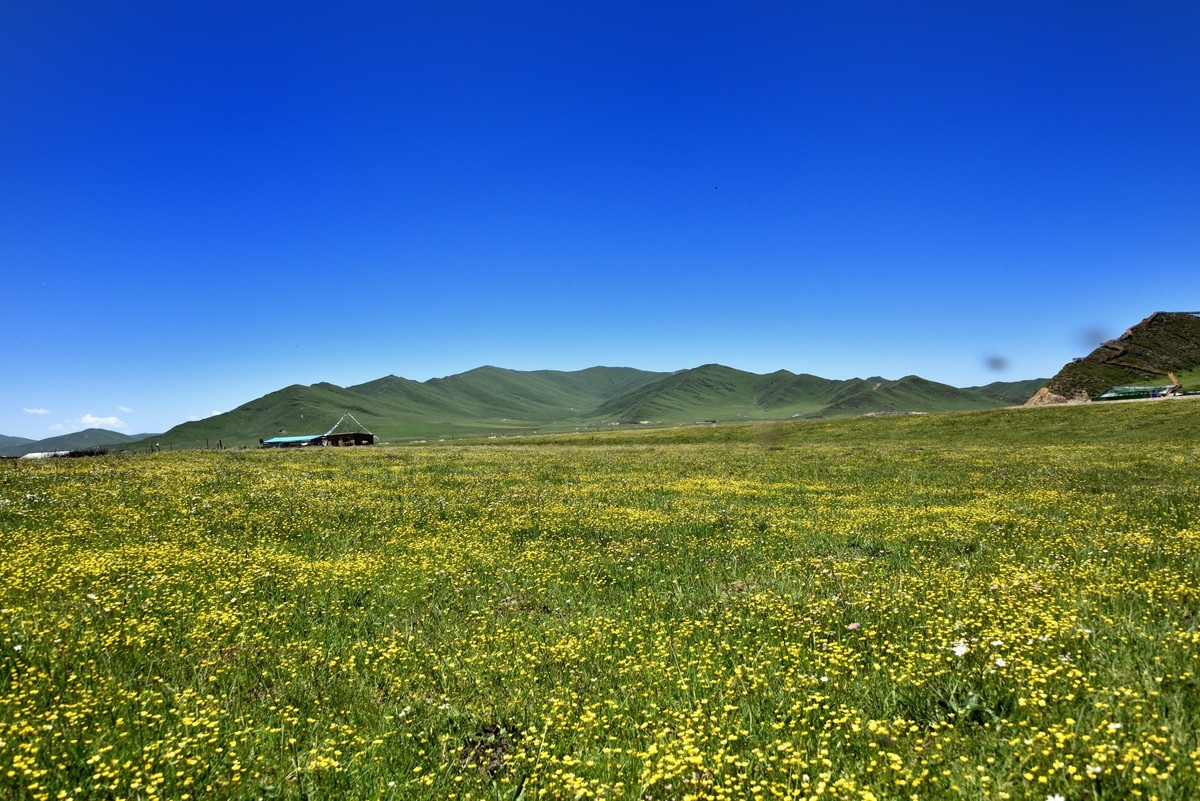 仲夏川北行【7】