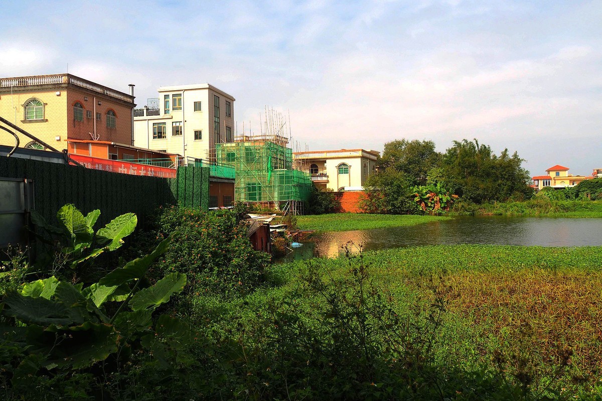 三角镇——路边随拍（3）