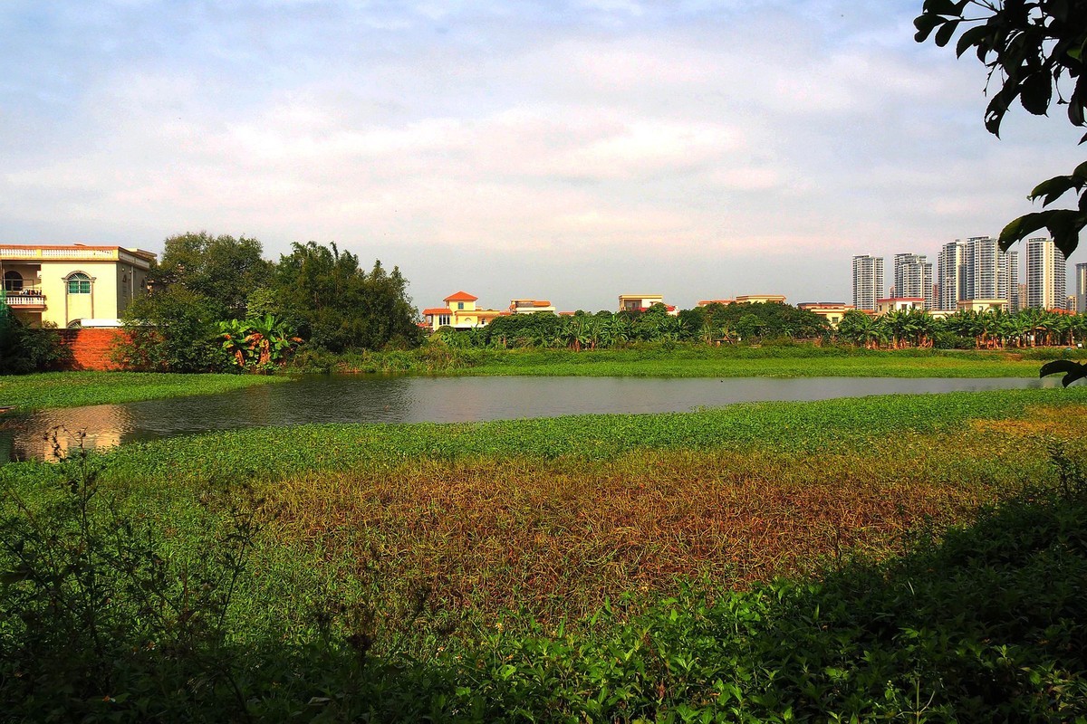 三角镇——路边随拍（3）