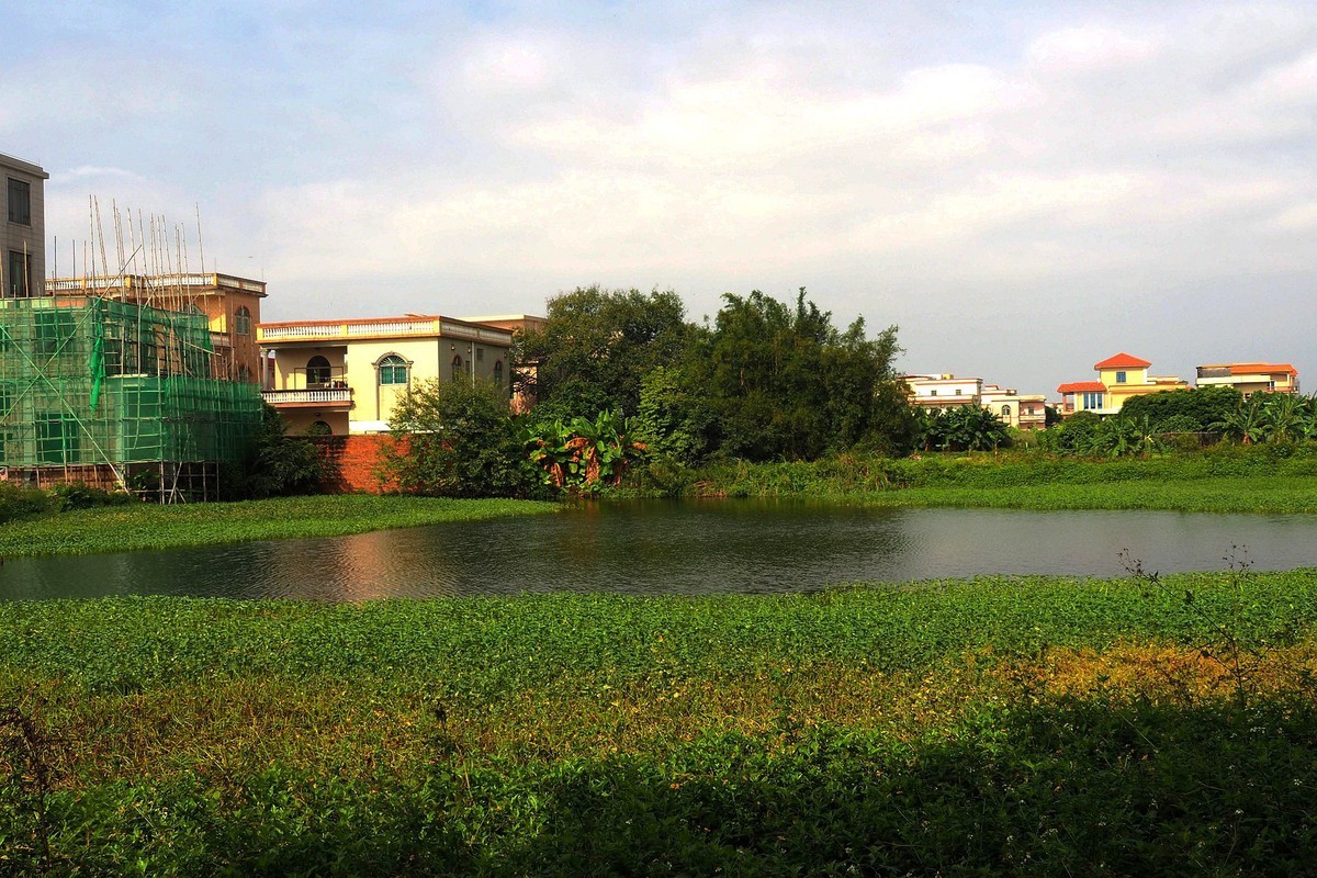 三角镇——路边随拍（3）