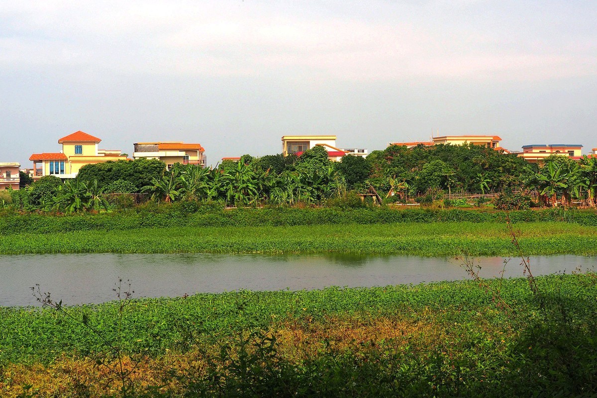 三角镇——路边随拍（3）